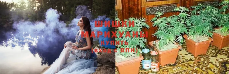 Марихуана OG Kush  сколько стоит  это телеграм  Новоульяновск 